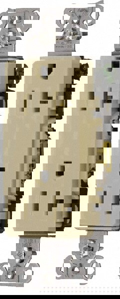 Straight Blade Duplex Receptacle: NEMA 5-20R, 20 Amps, Self-Grounding